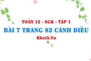 Bài 7 trang 82 Toán 12 tập 1 Cánh Diều